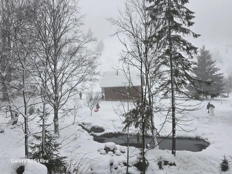 Teren Lunca Visagului - 2