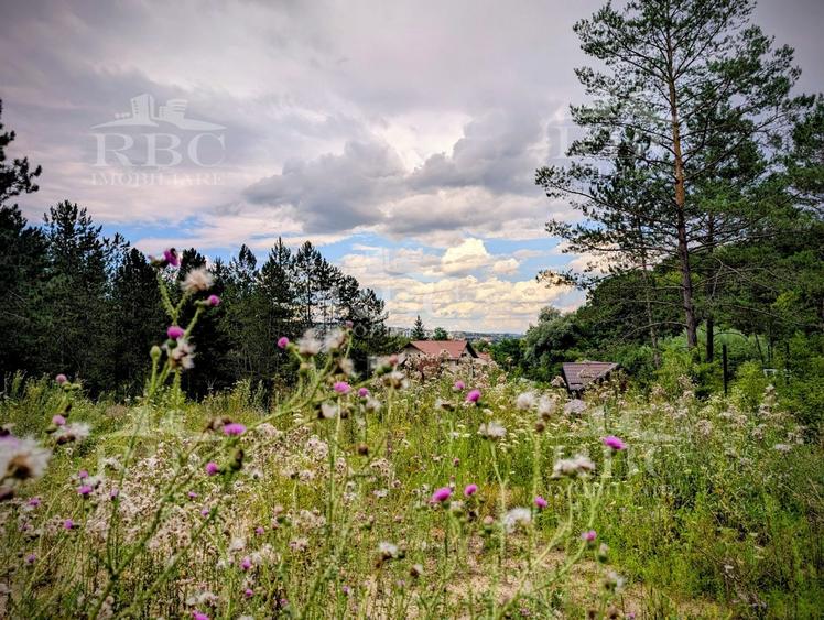 Teren intravilan pentru constructie casa in Cheile Baciului - 6