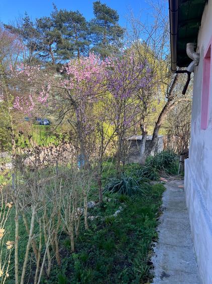 Casa cu teren generos in statiunea balneara Baile Govora - 8
