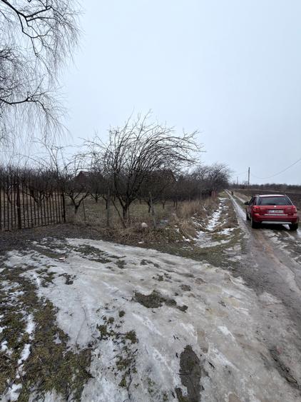 Teren intravilan in Zaicesti zona Conacului cu latura de padure - 5