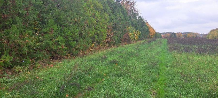 OAZA DE LINISTE SI RAFINAMENT LA MALUL LACULUI - 4
