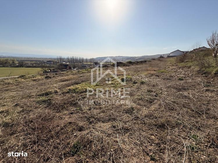 TEREN INTRAVILAN PANORAMIC DE VANZARE 5600 MP, CETATE, ALBA IULIA - 2