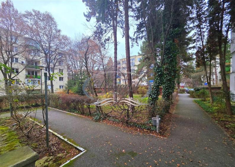 Apartament 3 camere renovat 2025, Plopilor - Sala Sporturilo - 2