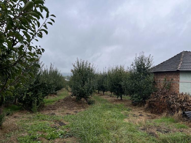 Vand teren Candesti-Vale - 1