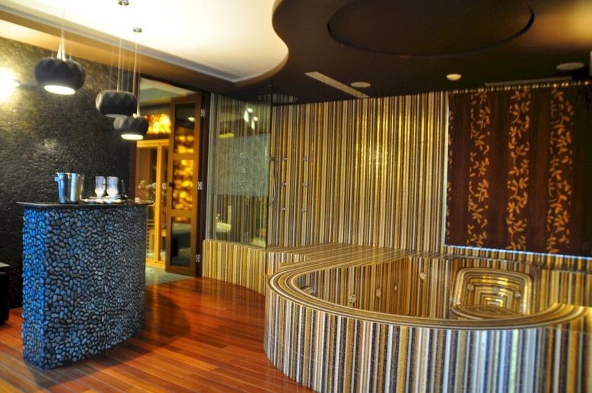 PENTHOUSE UNICAT vedere parc si la lac Herastrau - 25