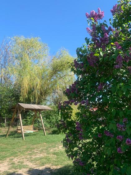 Fermă de vânzare - DN3 - 84m deschidere - 28