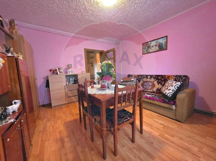 Casa pe strada Prefect Vasile Molovan- Tarnaveni - 19