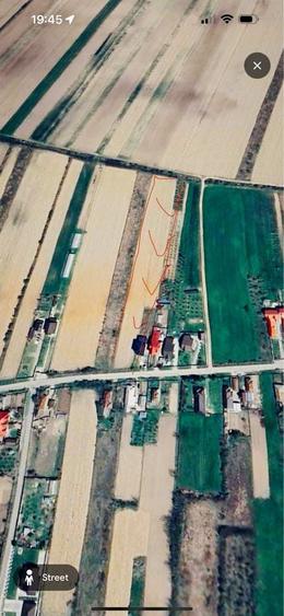 VAND TEREN INTRAVILAN 5.000 m2 Bungetu, Comuna Vacaresti, Dambovita - 3