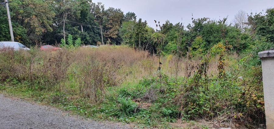 Teren de vanzare pe strada Sfantul Stefan in Targu-Mures - 5