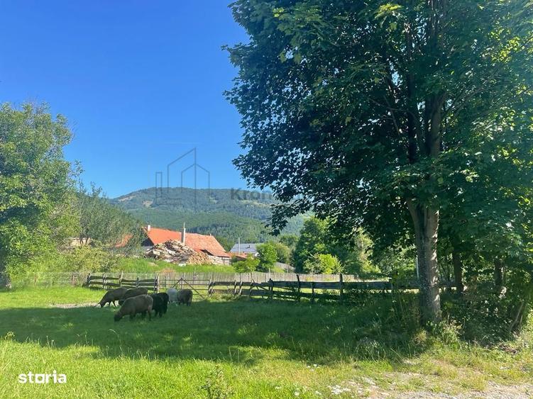 Teren Moieciu de Jos - 10