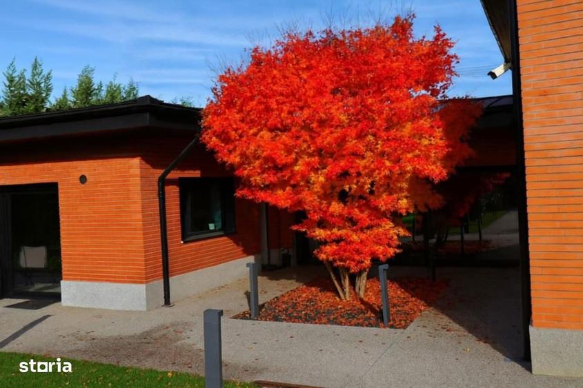 CASA PREMIUM ZONA BUCIUM LA STRADA PRINCIPALA - 7