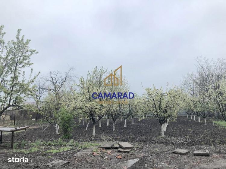 Teren de vanzare in Tamadau Mare, jud. Calarasi Strada Principala - 2