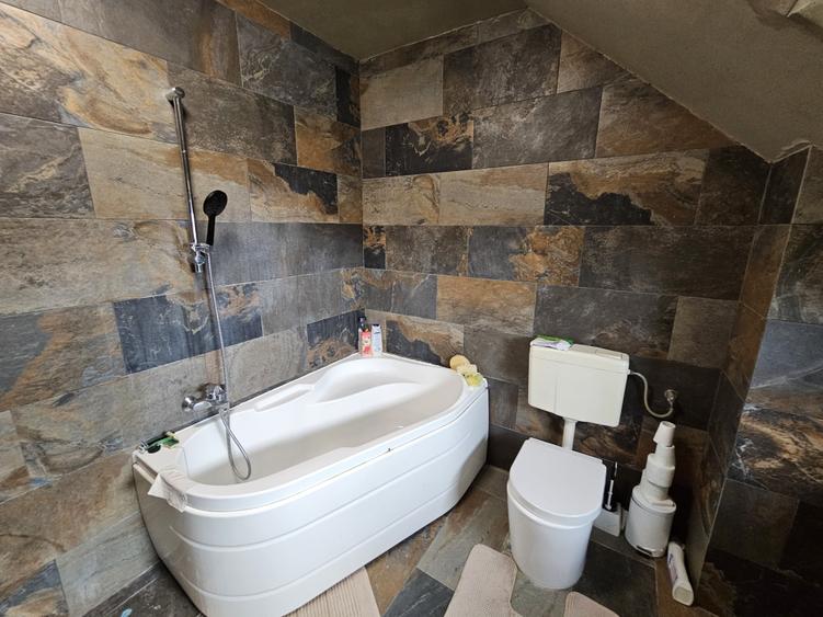 Două case individuale, P+M, construcții 2002/2007, în Giroc, comision 0% - 20