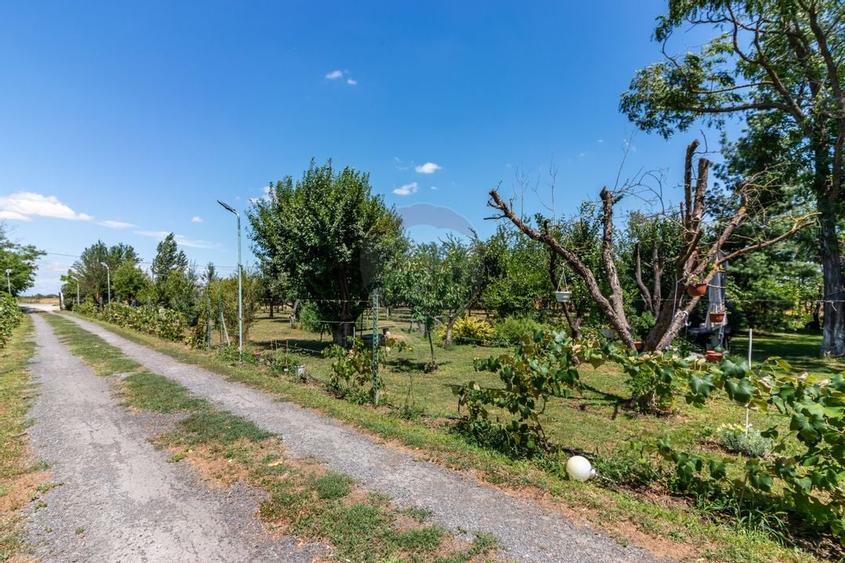 Casa+Laborator+ Teren 12.700 mp + casa de vacanta - Bolintin Vale - 33