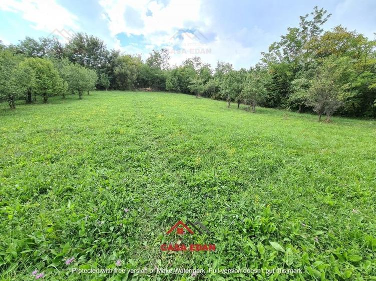 ●Teren intravilan in Poiana Campina,zona retrasa,3287 mp,10e● - 1