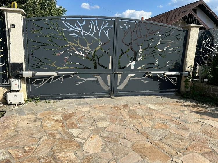 VILA CU 5 CAMERE, 150 MP UTILI, BECI, GARAJ, 717 MP TEREN, VISAN-BUCIUM - 21