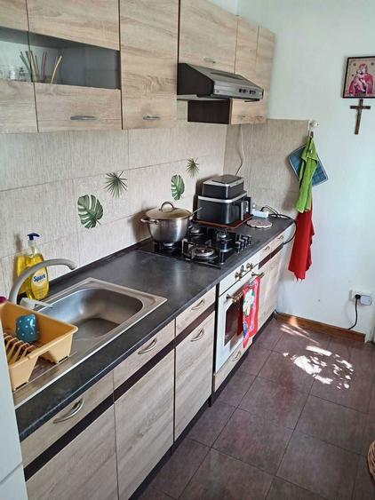 Vand casa la tara, teren generos - 2