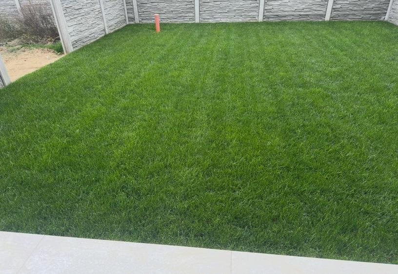 Duplex zona Mehala - 12