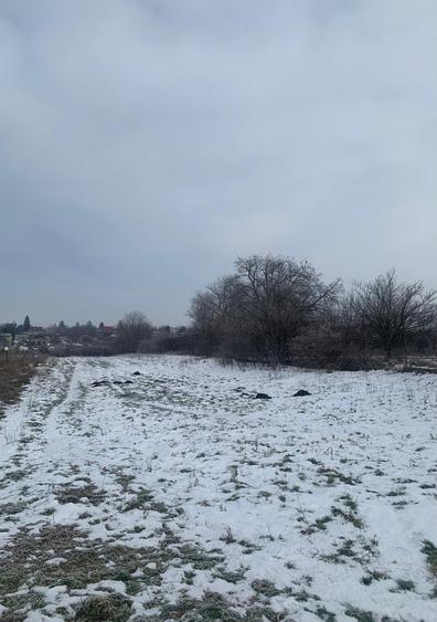 Vanzare suprafata compacta 35 000mp  Tarla 31 Petrechioaia - 5