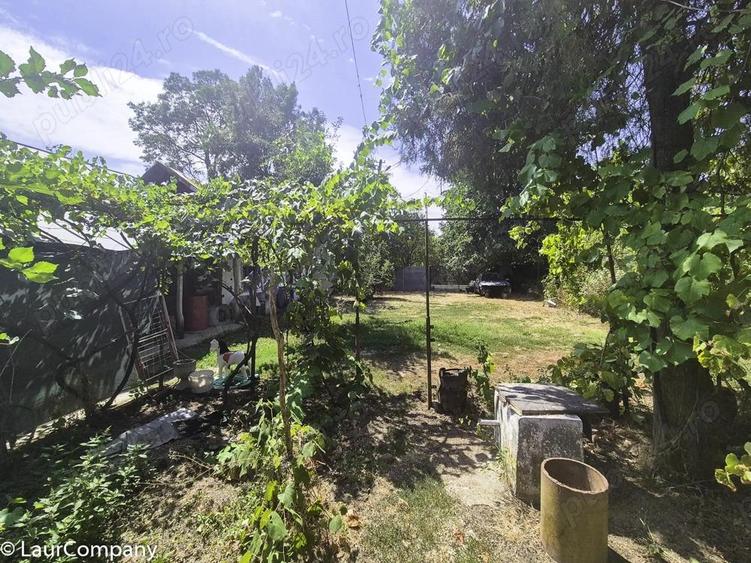 Casa , teren intravilan Urlueni Barla Arges - 8