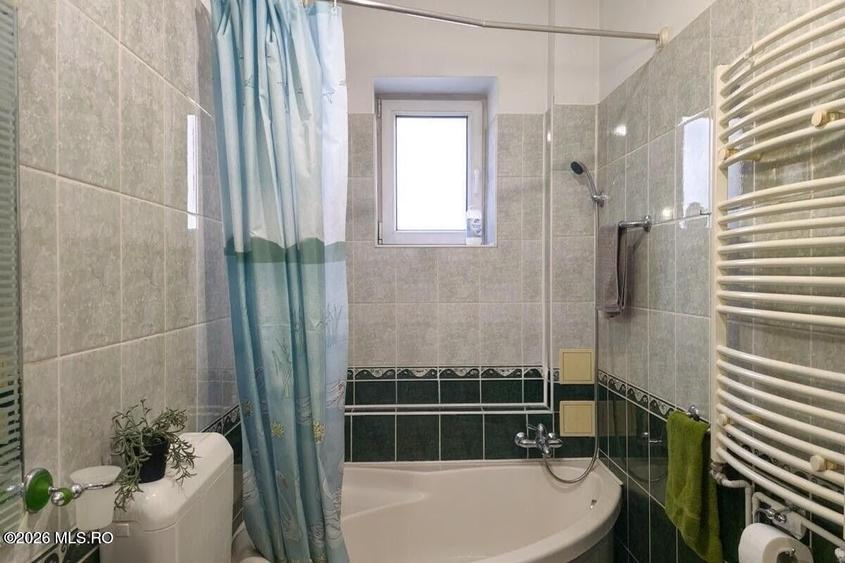 Lunei - Ion Neculce, 2 Apartamente. Mansarda 157 mp. Anexe, Lot 475 mp - 31