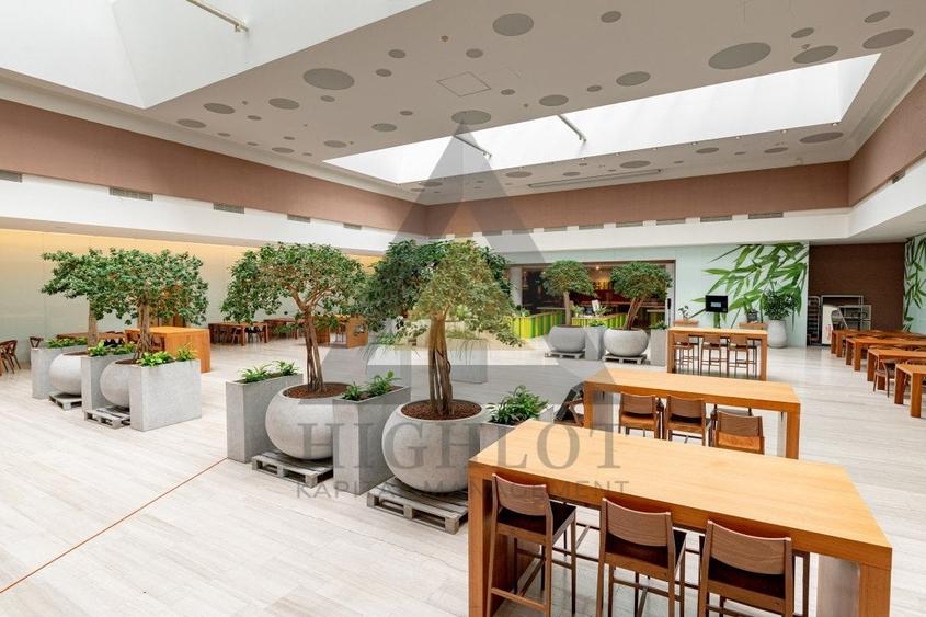 READY TO MOVE IN SPATIU 493.59 MP  | COMPLET FINISAT | PLATINUM BUSINESS CENTER - 5