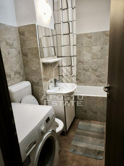 Apartament cu 1 camera, de inchiriat, zona Dambovita - 5