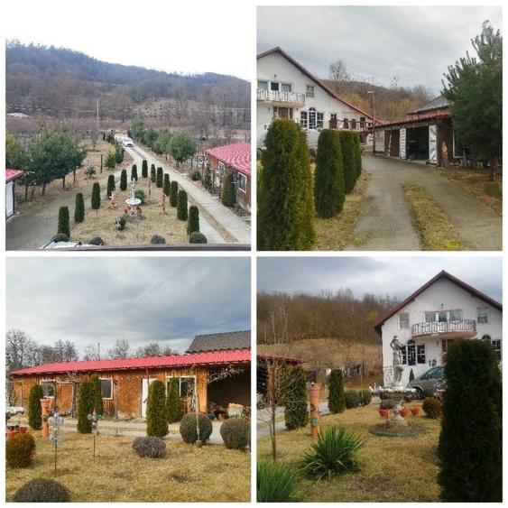 Casa P+M, Malureni -Toplita,  teren 2.798mp - 43