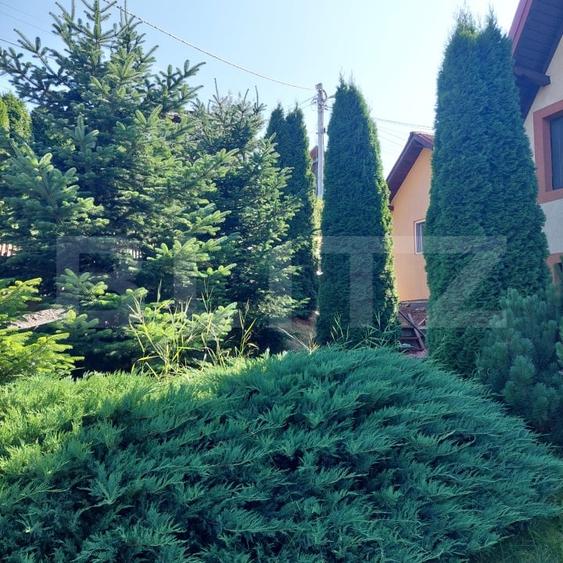 Casă individuală cu 3 camere cu Teren 476 Mp în Vatra Dornei