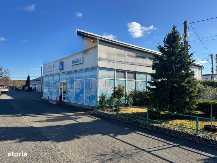 SERVICE AUTO Ultramodern (Business ultraprofitabil la cheie) - 2