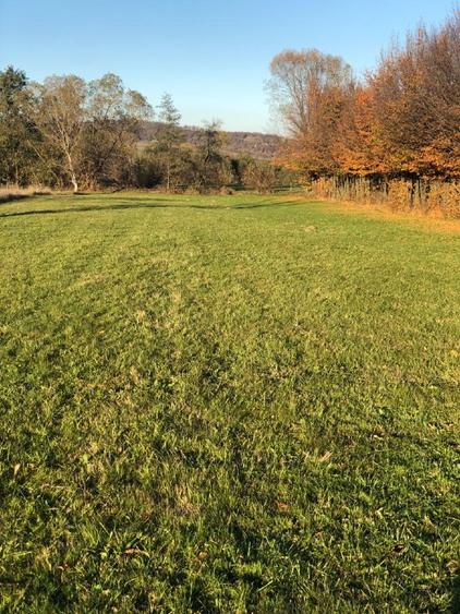 Teren intravilan Tocile Sadu jud. Sibiu Priveliste superba - 4