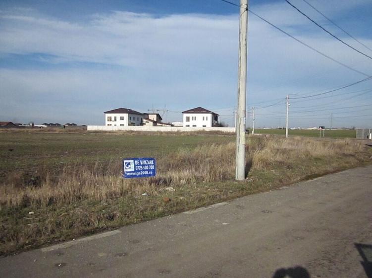 Domnesti-Narciselor - 8