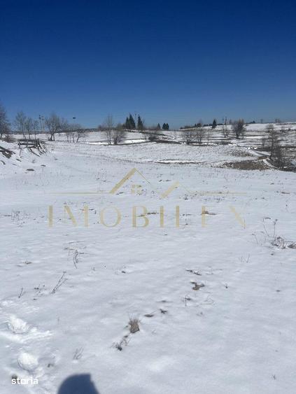 Teren in Marisel 5000 mp - 2