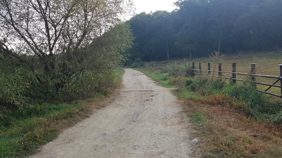 Teren constructii zona Cisnadioara - 3