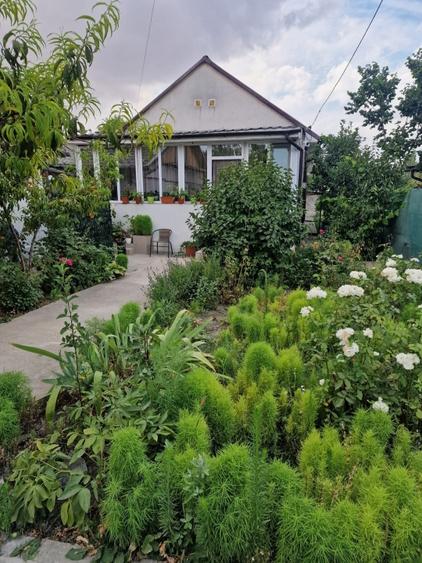 Casa cu suflet in centrul Medgidiei– gradina superba - 36