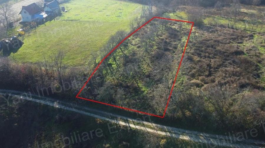 Teren de vanzare in Curtea de Arge?. - 4