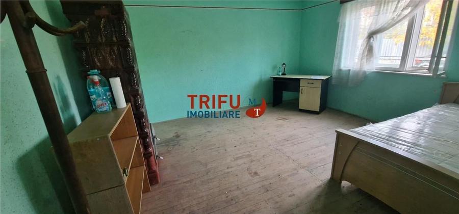 Casă de vânzare zona Cetate Schit 740 mp teren - 3