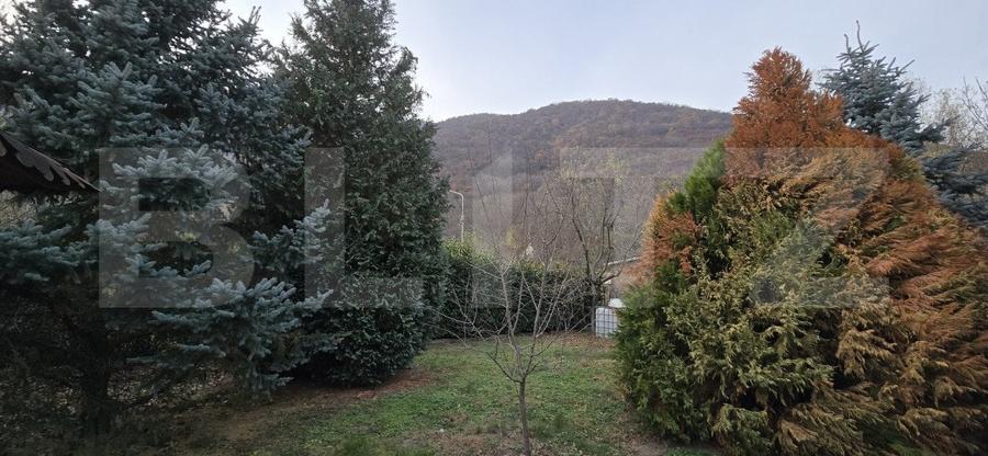 Casa deosebita cu 3 dormitoare si jacuzzi, aproape de statiunea Baile Herculane - 4