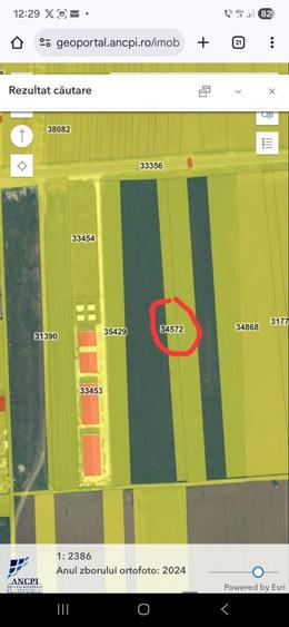 Teren intravilan de vanzare - 2