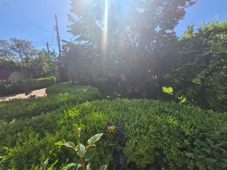 Vila individuala P+2E,Popesti Leordeni,Sos.Oltenitei - 13