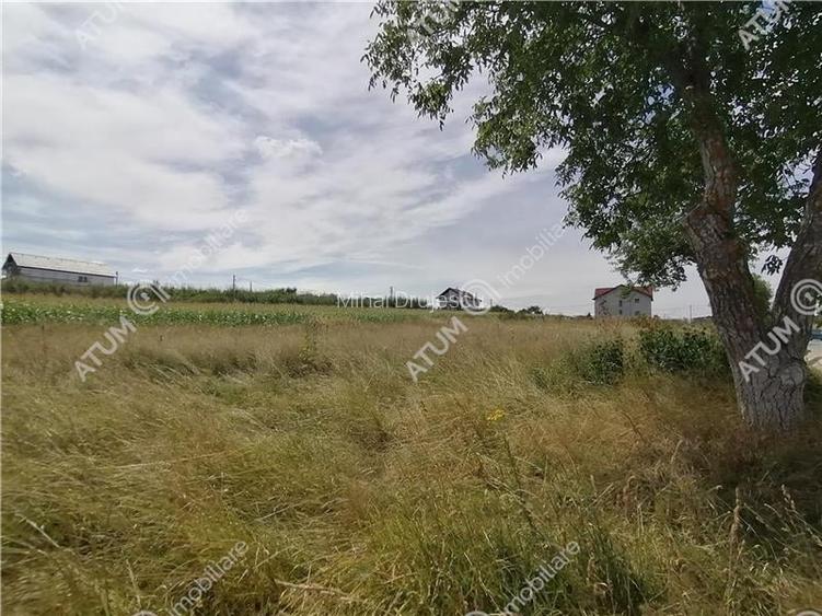 Teren pretabil constructie casa sau duplex in Sibiu zona Daia