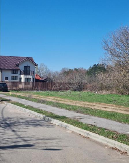 Loturi teren zona SERE Alexandria si Nanov - 20