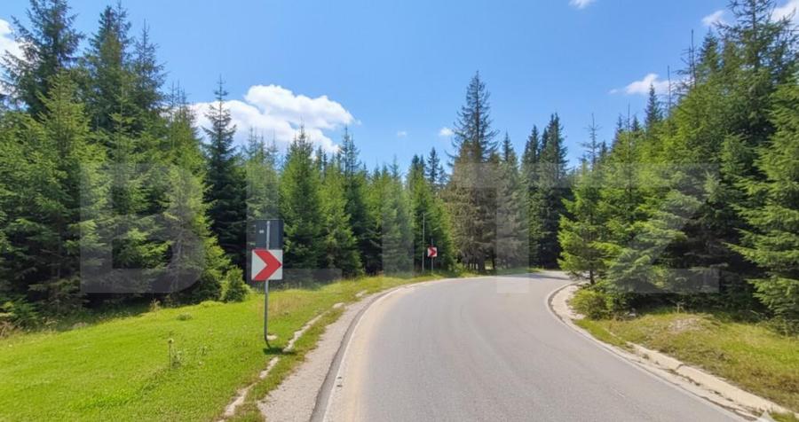 INVESTI?IE PADINA: 1000mp Intravilan in Parcul Natural Buc - 2