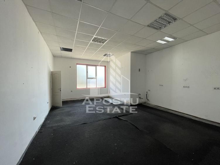 Spatiu comercial, 255 mp + curte betonata, Ronat - 11
