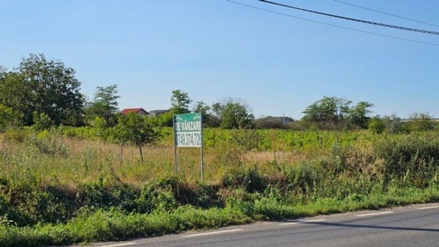 TEREN 2.000 mp – DESCHIDERE 20 m – LA DN 26, INTRARE TULUCEȘTI - 1