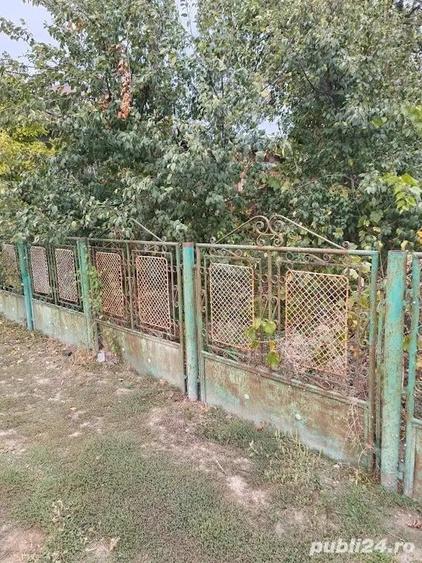 Potigrafu Crivina - 17