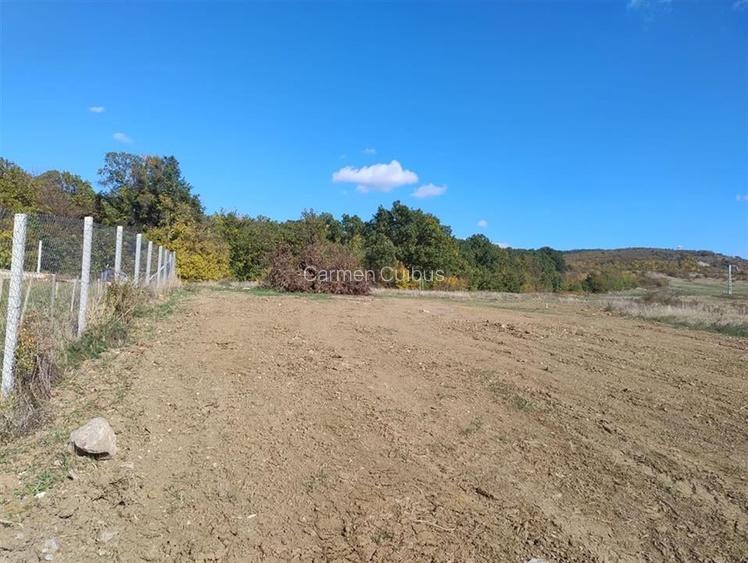 RECO Teren intravilan Betfia RECO Teren intravilan Betfia