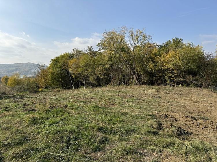 Teren intravilan - 8