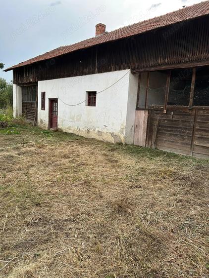 Vand casa in Sculia,Ora?ul Gataia,Jud Timi? (2158mp) - 9