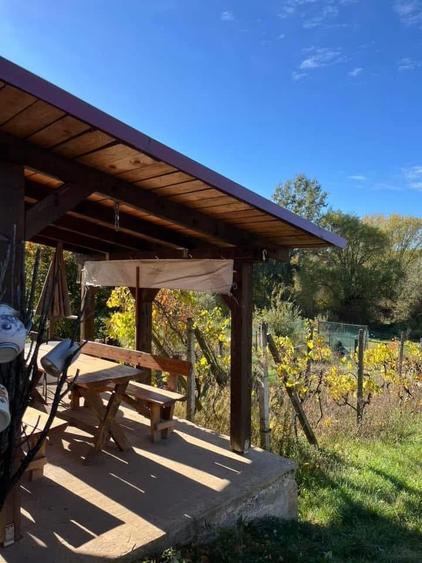 Casă de vacanță, 1100 MP teren, Cauaceu, Biharia, Bihor. - 12